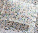 Rifle Paper Co. Bramble Fields Cream Sheet Set